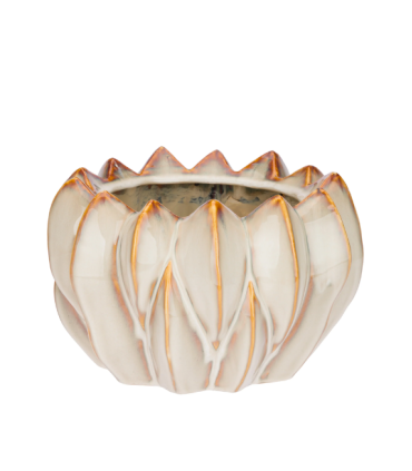 MACETERO  CREMA BRASSICA  26X16CM