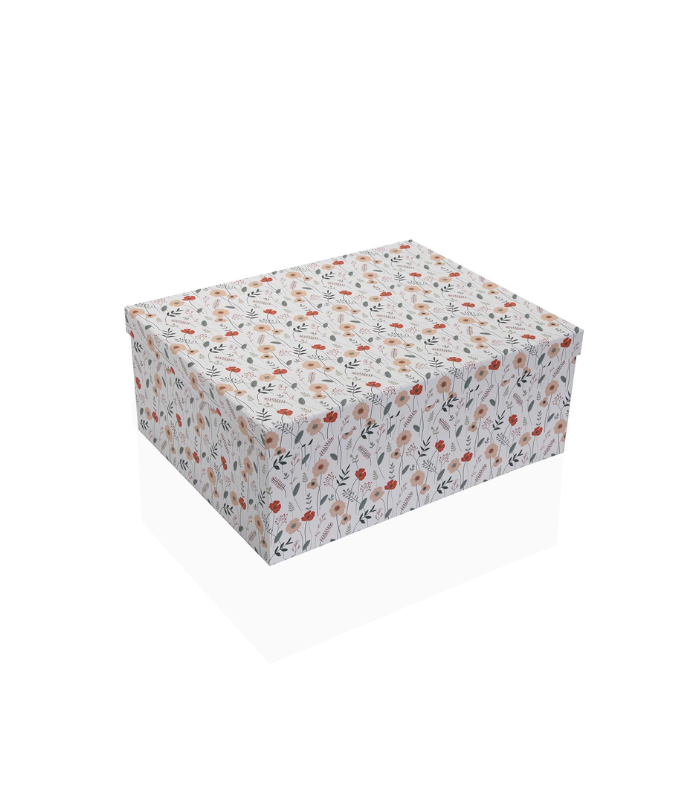 CAJA CARTON VERDI 27 x 19 x 11,5CM
