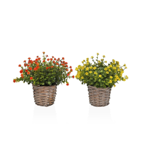 MACETA DECORATIVA SURTIDA CON SIEMPREVIVAS