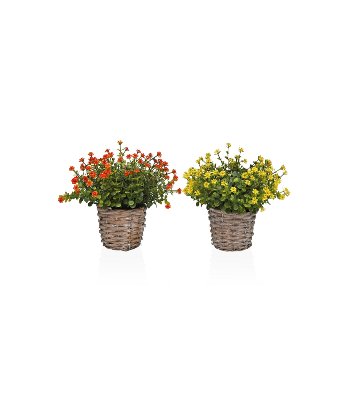 MACETA DECORATIVA SURTIDA CON SIEMPREVIVAS