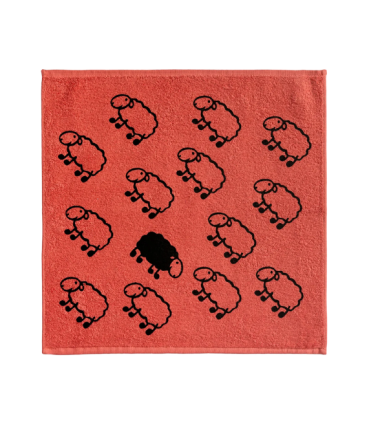 PAÑO LATXA SURTIDO