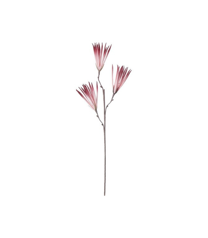 FLOR FOAM ROSA 30X30X90CM