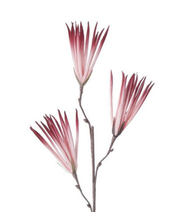 FLOR FOAM ROSA 30X30X90CM