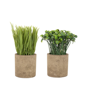 MACETERO CAROLYN PLANTA PEQ VERDE 2 MODELOS SURTIDOS