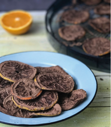 DESHIDRATADOR ALIMENTOS TERRA
