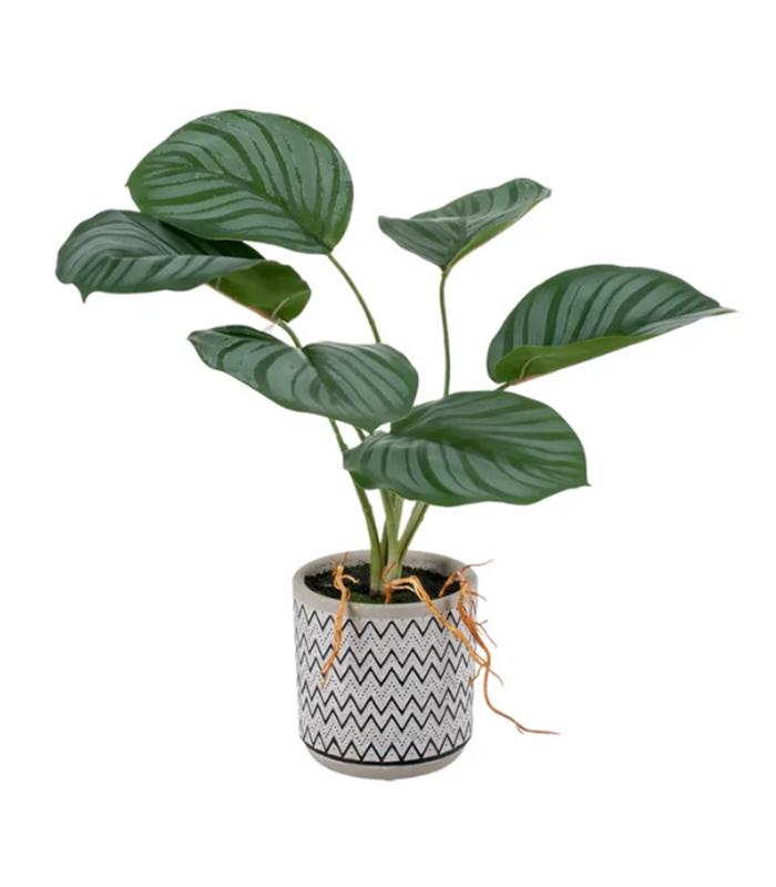 PLANTA ARRURRUZ VERDE ARTIFICIAL 33X27X32CM
