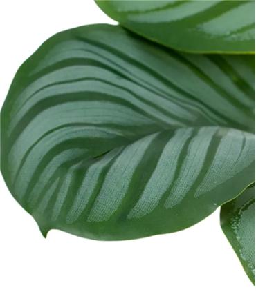 PLANTA ARRURRUZ VERDE ARTIFICIAL 33X27X32CM