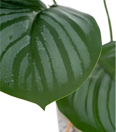 PLANTA ARRURRUZ VERDE ARTIFICIAL 33X27X32CM
