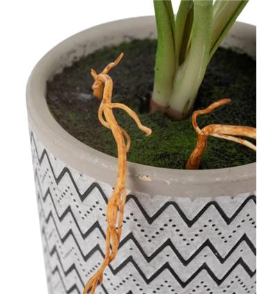 PLANTA ARRURRUZ VERDE ARTIFICIAL 33X27X32CM