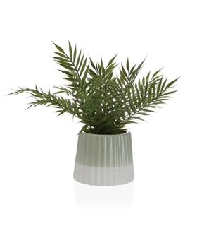 PLANTA EN MACETA 38CM