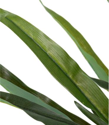 PLANTA ORQUIDEA CATTLEYA 60X60X70CM
