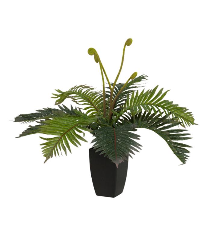 PLANTA PALMERA CON MACETA 40X40X55CM