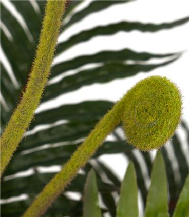 PLANTA PALMERA CON MACETA 40X40X55CM