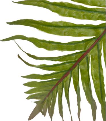 PLANTA PALMERA CON MACETA 40X40X55CM