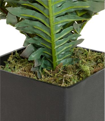 PLANTA PALMERA CON MACETA 40X40X55CM
