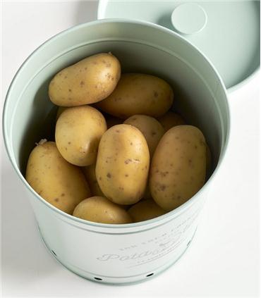 BOTE POTATOES MENTA