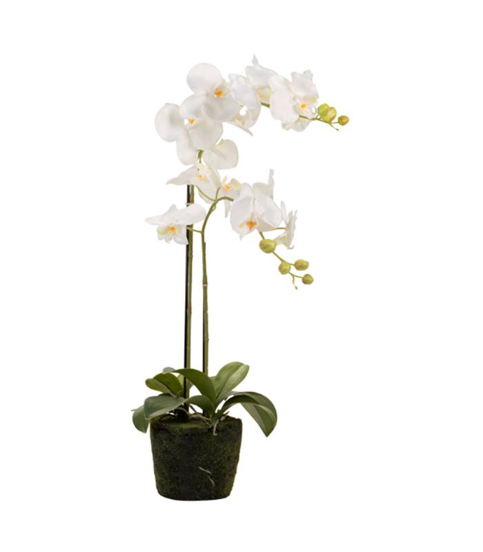 ORQUIDEA POLIESTER BLANCA 34X34X71CM