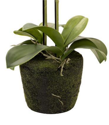 ORQUIDEA POLIESTER BLANCA 34X34X71CM