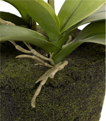 ORQUIDEA POLIESTER BLANCA 34X34X71CM