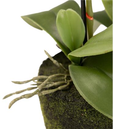 ORQUIDEA POLIESTER BLANCA 34X34X71CM