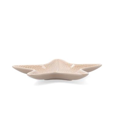 ESTRELLA DE MAR AURA STELA 20X19X2CM